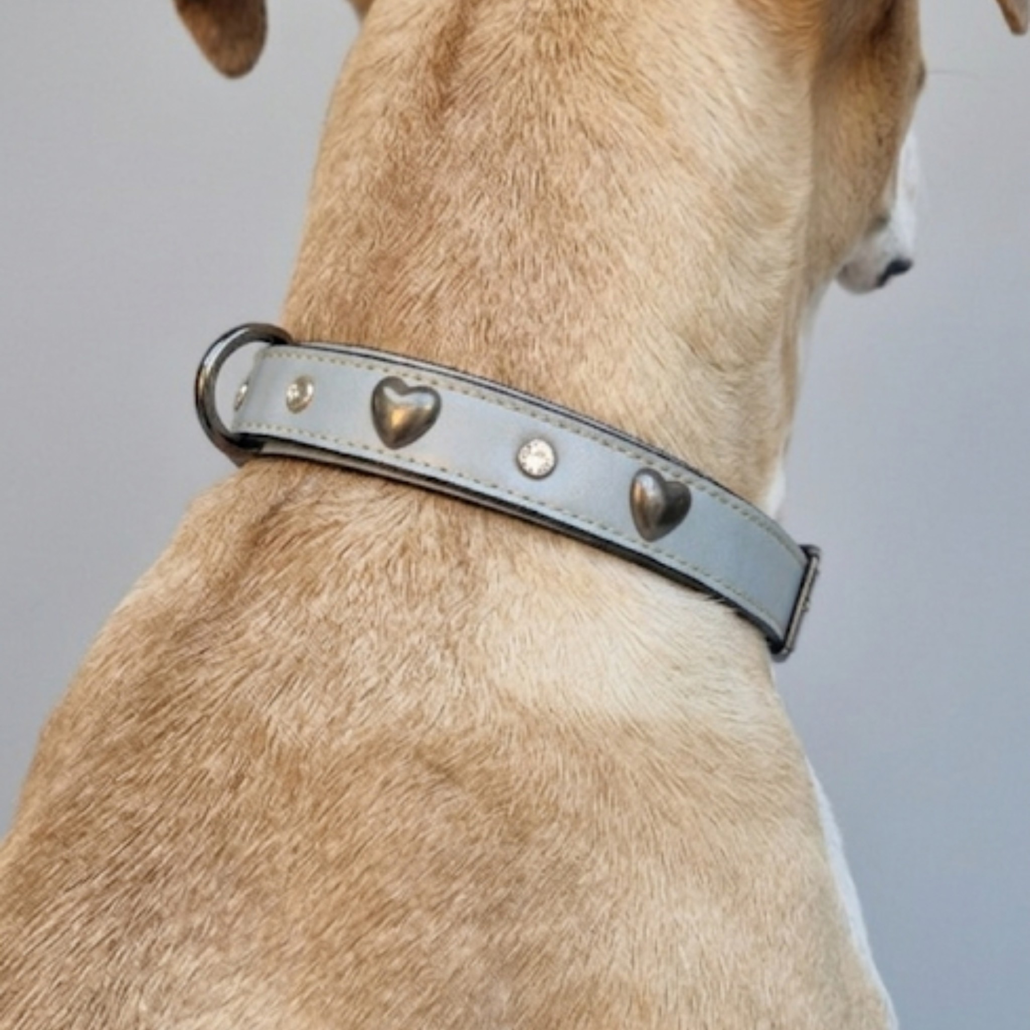 Set Collare con Cristalli e Guinzaglio in Pelle per Cani